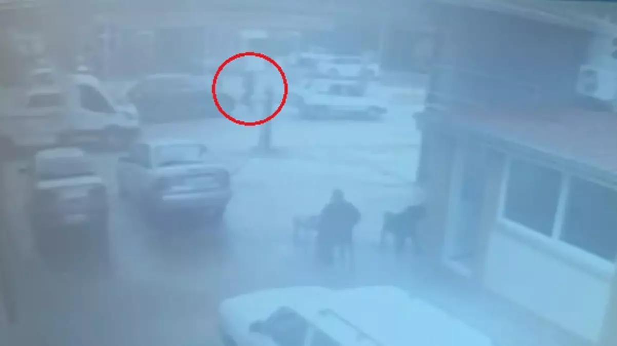 Adana’da kuzen cinayeti kamerada: Defalarca ateş edip kaçtı