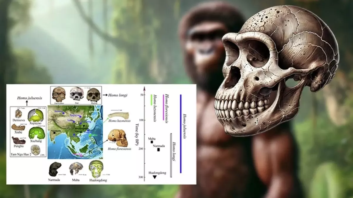 Çin’de Yeni İnsan Türü ‘Homo Juluensi’ Keşfedildi