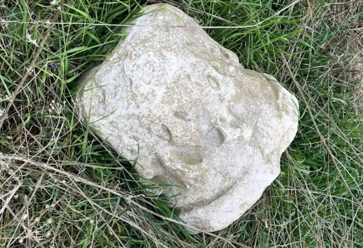 Tekirdağ’da Antik Sütun Başlığı Ele Geçirildi