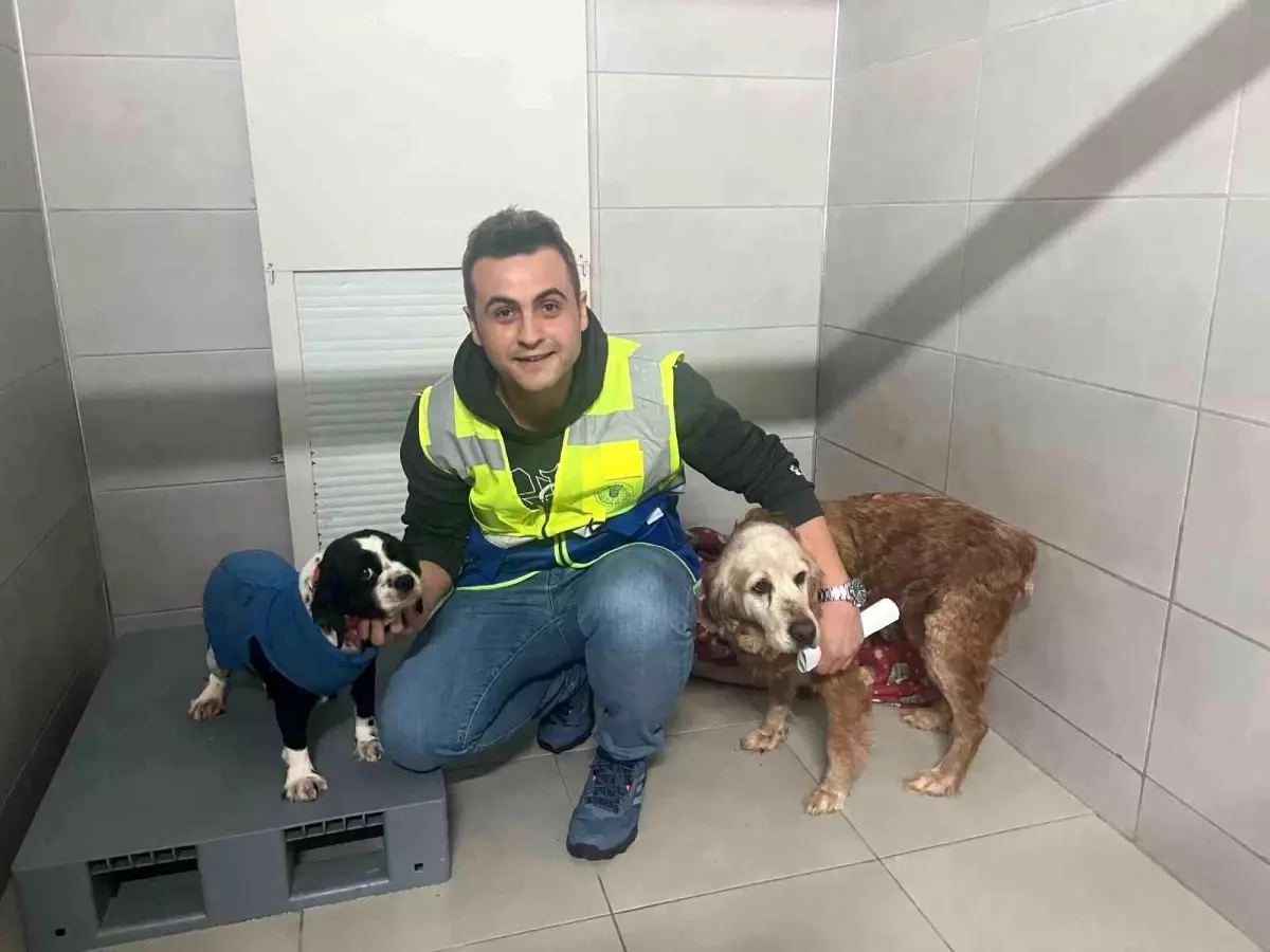 Bursa’da Sokak Hayvanları İçin Bayramda Kesintisiz Hizmet