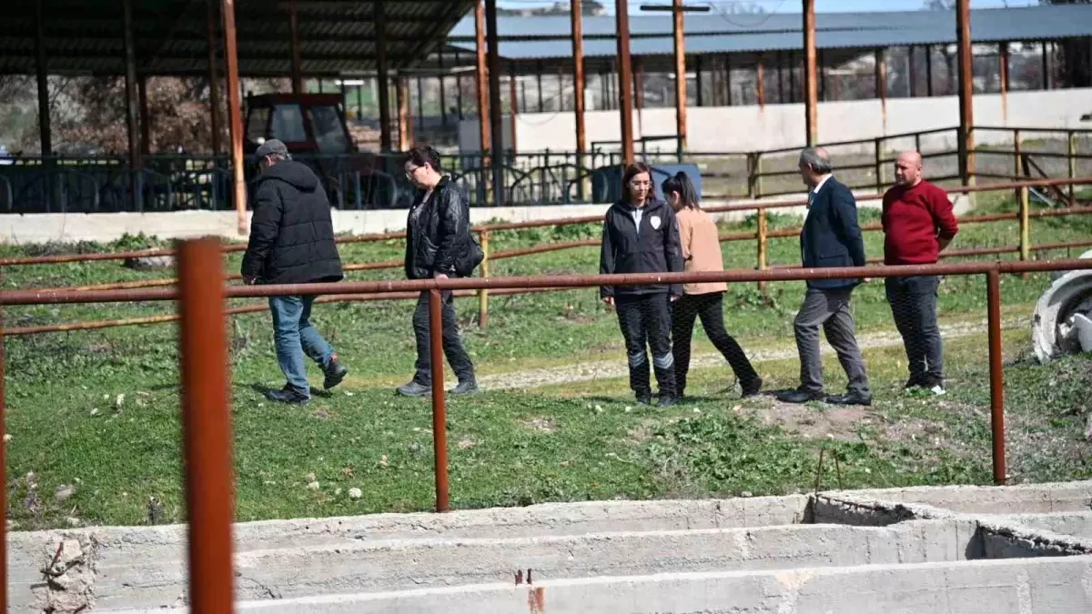 Manisa Büyükşehir Belediyesi’nden ‘Tek Dam’ Projesi ile Süt Hayvancılığına Destek